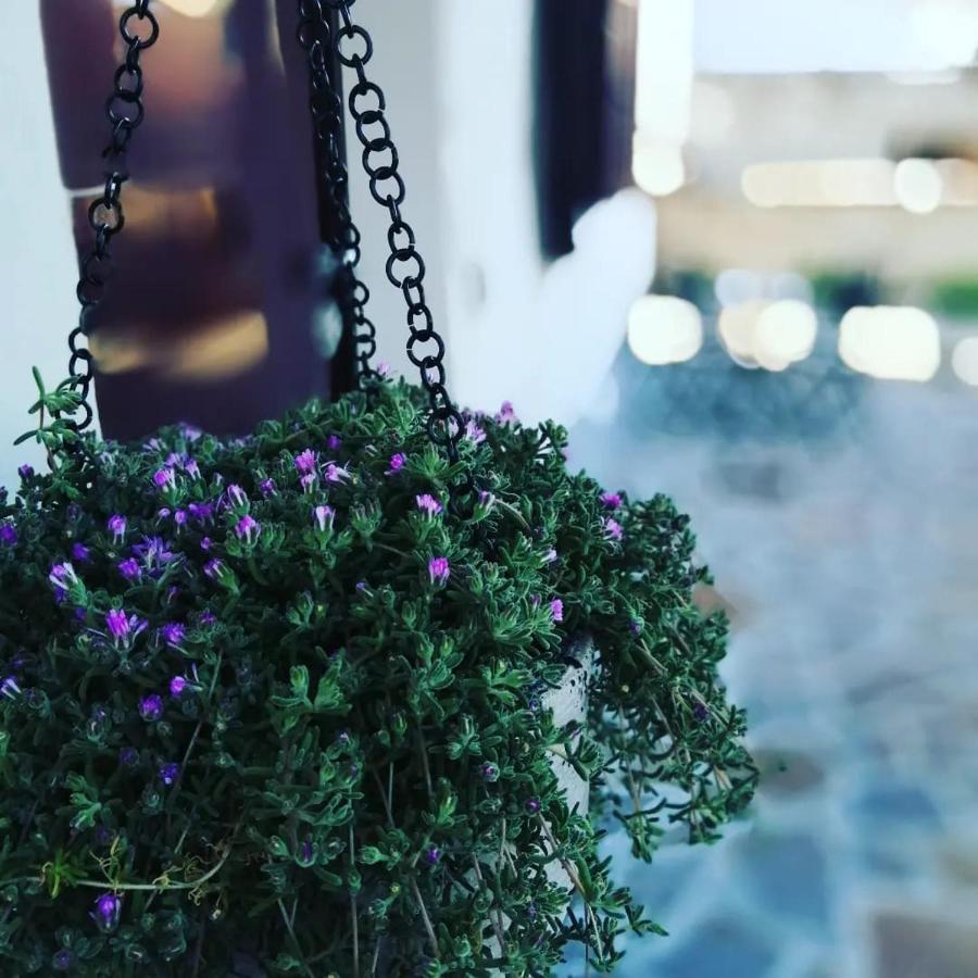 B&B Colle Tarigni Manoppello ภายนอก รูปภาพ